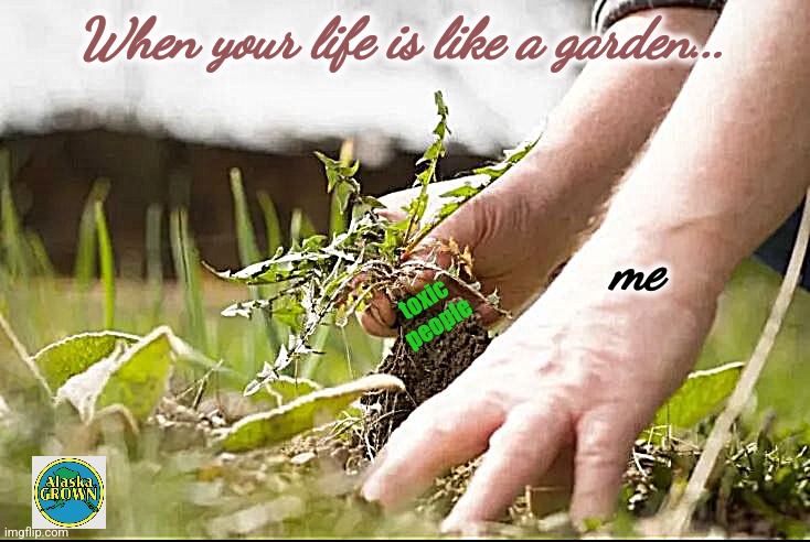 The Perfect Garden. | When your life is like a garden... me; toxic people | image tagged in the perfect garden,alaska,toxic | made w/ Imgflip meme maker