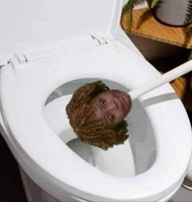 High Quality Karinne Toilet Brush Blank Meme Template