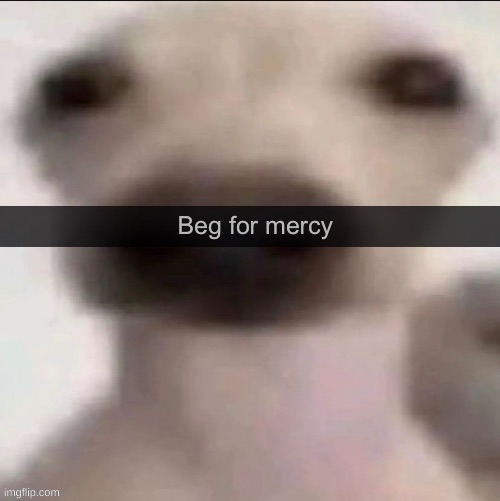 Beg for mercy | image tagged in beg for mercy | made w/ Imgflip meme maker