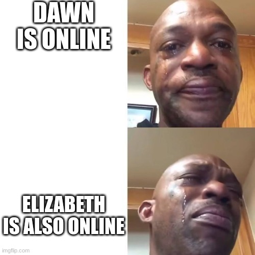 today has a bad start | DAWN IS ONLINE; ELIZABETH IS ALSO ONLINE | image tagged in sad sadder | made w/ Imgflip meme maker