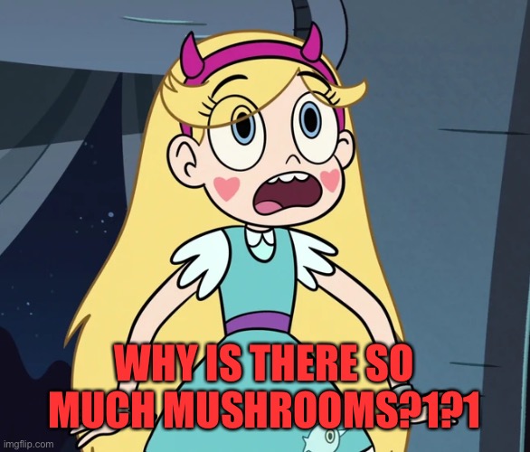 Star Butterfly shocked | WHY IS THERE SO MUCH MUSHROOMS?1?1 | image tagged in star butterfly shocked | made w/ Imgflip meme maker
