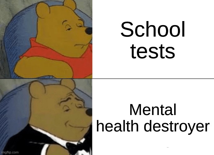 true very | School tests; Mental health destroyer | image tagged in memes,tuxedo winnie the pooh,school | made w/ Imgflip meme maker