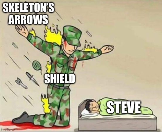 Minecraft Shield is so OP | SKELETON’S ARROWS; SHIELD; STEVE | image tagged in soldier protecting sleeping child | made w/ Imgflip meme maker