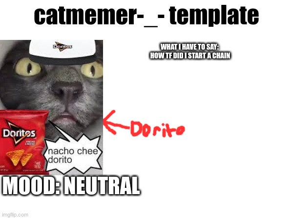 catmemer-_- template; WHAT I HAVE TO SAY: 
HOW TF DID I START A CHAIN; MOOD: NEUTRAL | made w/ Imgflip meme maker