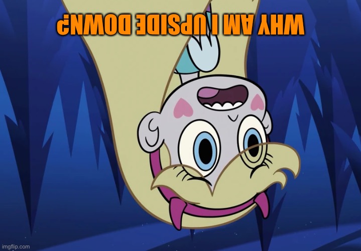 Star Butterfly looking back | WHY AM I UPSIDE DOWN? | image tagged in star butterfly looking back | made w/ Imgflip meme maker