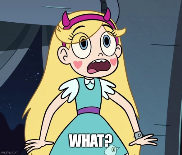 Star Butterfly shocked | WHAT? | image tagged in star butterfly shocked | made w/ Imgflip meme maker