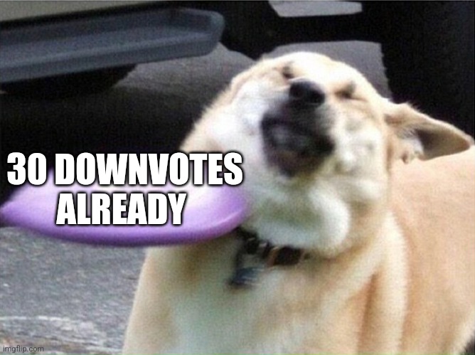 Dog hit by frisbee | 30 DOWNVOTES ALREADY | image tagged in dog hit by frisbee | made w/ Imgflip meme maker
