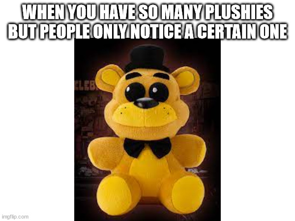 (⓿_⓿) | WHEN YOU HAVE SO MANY PLUSHIES BUT PEOPLE ONLY NOTICE A CERTAIN ONE | made w/ Imgflip meme maker