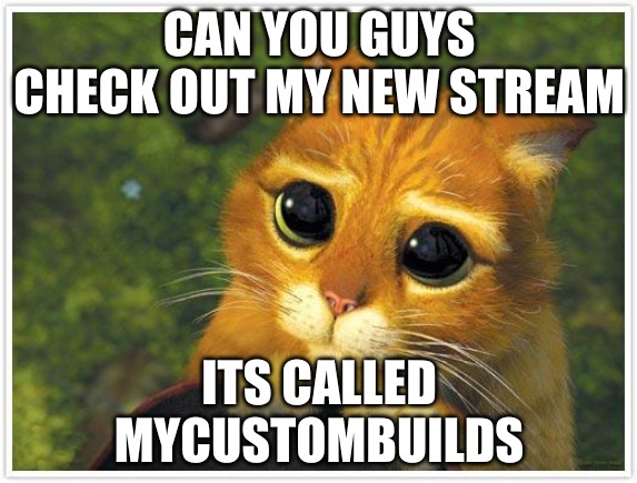 pls | CAN YOU GUYS CHECK OUT MY NEW STREAM; ITS CALLED
MYCUSTOMBUILDS | image tagged in memes,shrek cat | made w/ Imgflip meme maker