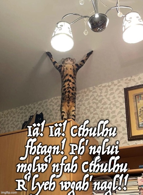Cats ARE evil! | Iä! Iä! Cthulhu fhtagn! Ph'nglui mglw'nfah Cthulhu R'lyeh wgah'nagl!! | image tagged in cats | made w/ Imgflip meme maker