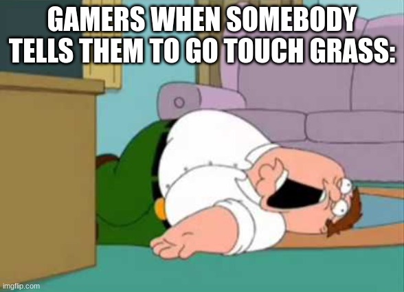 never touch grass | GAMERS WHEN SOMEBODY TELLS THEM TO GO TOUCH GRASS: | image tagged in dead peter griffin | made w/ Imgflip meme maker