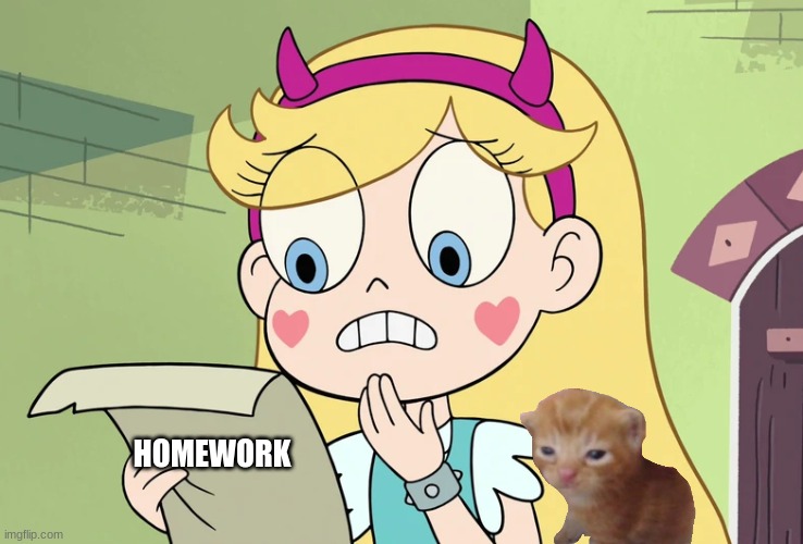 Star Butterfly "WTF Did i just read" | HOMEWORK | image tagged in star butterfly wtf did i just read | made w/ Imgflip meme maker