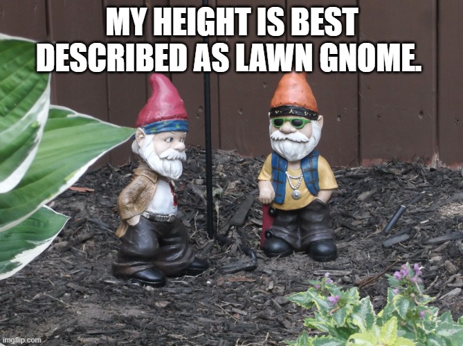Height | MY HEIGHT IS BEST DESCRIBED AS LAWN GNOME. | image tagged in garden gnomes | made w/ Imgflip meme maker