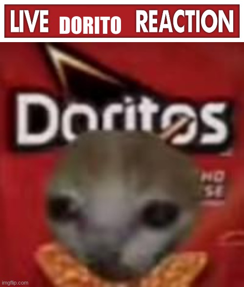 DORITO | image tagged in live x reaction | made w/ Imgflip meme maker