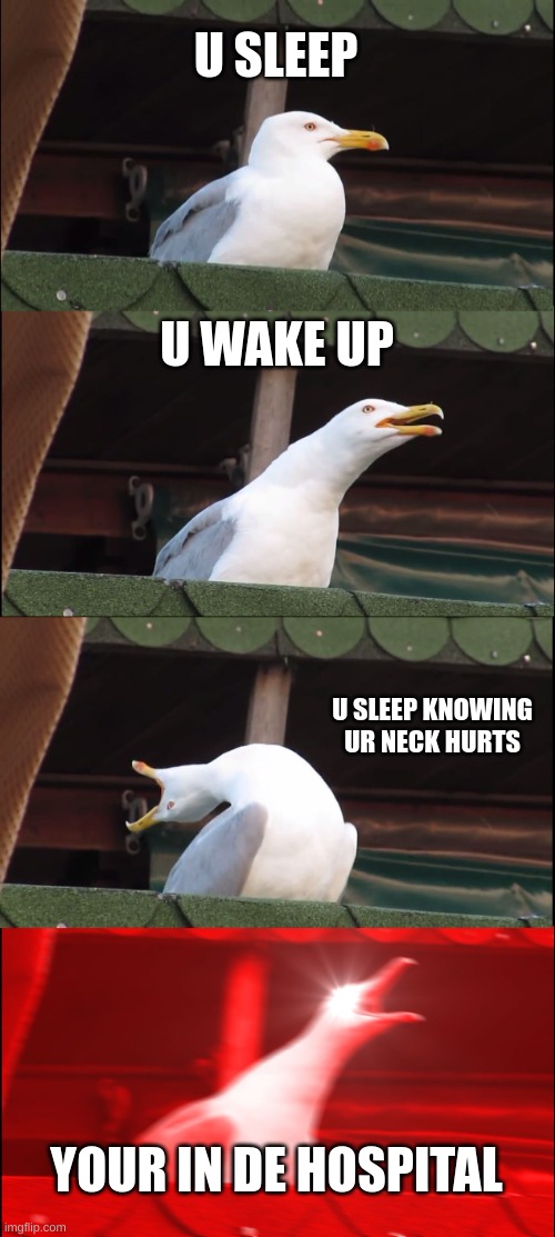 this escalated | U SLEEP; U WAKE UP; U SLEEP KNOWING UR NECK HURTS; YOUR IN DE HOSPITAL | image tagged in memes,inhaling seagull | made w/ Imgflip meme maker