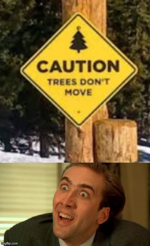 You don’t say | image tagged in nicolas cage | made w/ Imgflip meme maker