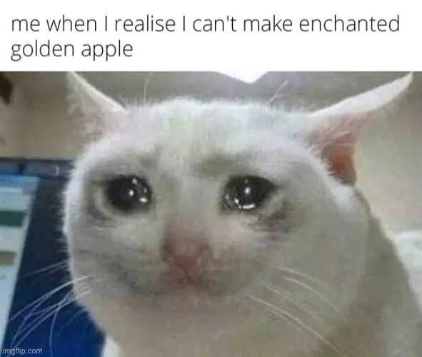 image tagged in minecraft,memes,funny | made w/ Imgflip meme maker