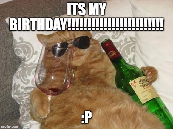 YAYYAYAYAYAYA7YYAAAYAYYAAAYYAYAYAYY | ITS MY BIRTHDAY!!!!!!!!!!!!!!!!!!!!!!!! :P | image tagged in funny cat birthday | made w/ Imgflip meme maker