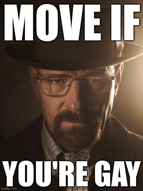 Walter White | MOVE IF; YOU'RE GAY | image tagged in walter white | made w/ Imgflip meme maker
