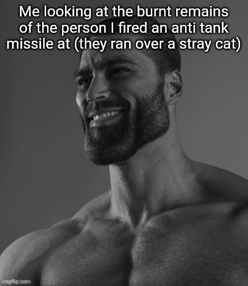 Giga Chad | Me looking at the burnt remains of the person I fired an anti tank missile at (they ran over a stray cat) | image tagged in giga chad | made w/ Imgflip meme maker