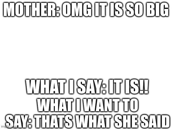 things | MOTHER: OMG IT IS SO BIG; WHAT I SAY: IT IS!! WHAT I WANT TO SAY: THATS WHAT SHE SAID | image tagged in funny,memes | made w/ Imgflip meme maker