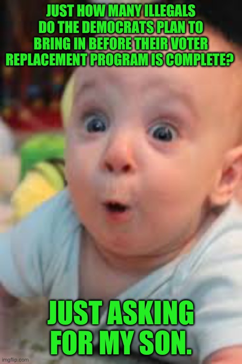 Seems like a fair question | JUST HOW MANY ILLEGALS DO THE DEMOCRATS PLAN TO BRING IN BEFORE THEIR VOTER REPLACEMENT PROGRAM IS COMPLETE? JUST ASKING FOR MY SON. | image tagged in suprised | made w/ Imgflip meme maker