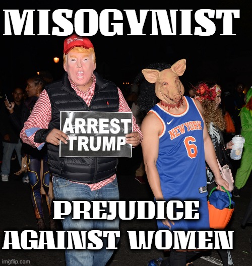 MIS-O-GYN-IST | MISOGYNIST; PREJUDICE AGAINST WOMEN | image tagged in misogynist,prejudice,dislike,dispise,discriminate,contempt | made w/ Imgflip meme maker