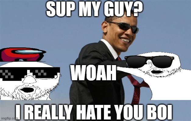 woah chill man | SUP MY GUY? WOAH; I REALLY HATE YOU BOI | image tagged in memes,cool obama | made w/ Imgflip meme maker