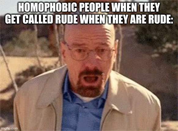 Walter White | HOMOPHOBIC PEOPLE WHEN THEY GET CALLED RUDE WHEN THEY ARE RUDE: | image tagged in walter white | made w/ Imgflip meme maker