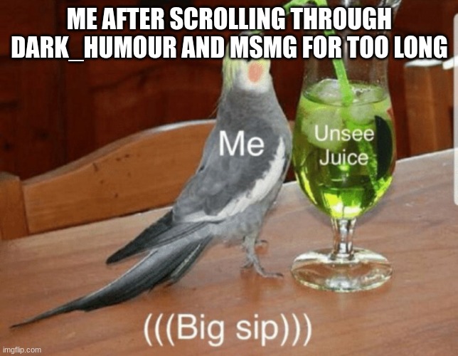 Unsee juice | ME AFTER SCROLLING THROUGH DARK_HUMOUR AND MSMG FOR TOO LONG | image tagged in unsee juice | made w/ Imgflip meme maker