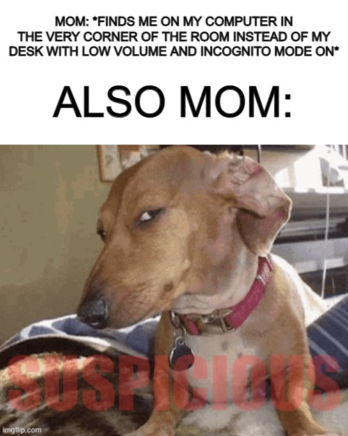 I don't do this btw XD | MOM: *FINDS ME ON MY COMPUTER IN THE VERY CORNER OF THE ROOM INSTEAD OF MY DESK WITH LOW VOLUME AND INCOGNITO MODE ON*; ALSO MOM:; SUSPICIOUS | image tagged in blank white template | made w/ Imgflip meme maker