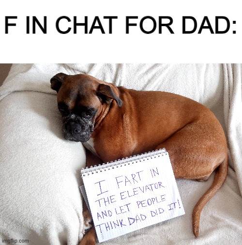 No comment... | F IN CHAT FOR DAD: | image tagged in blank white template | made w/ Imgflip meme maker