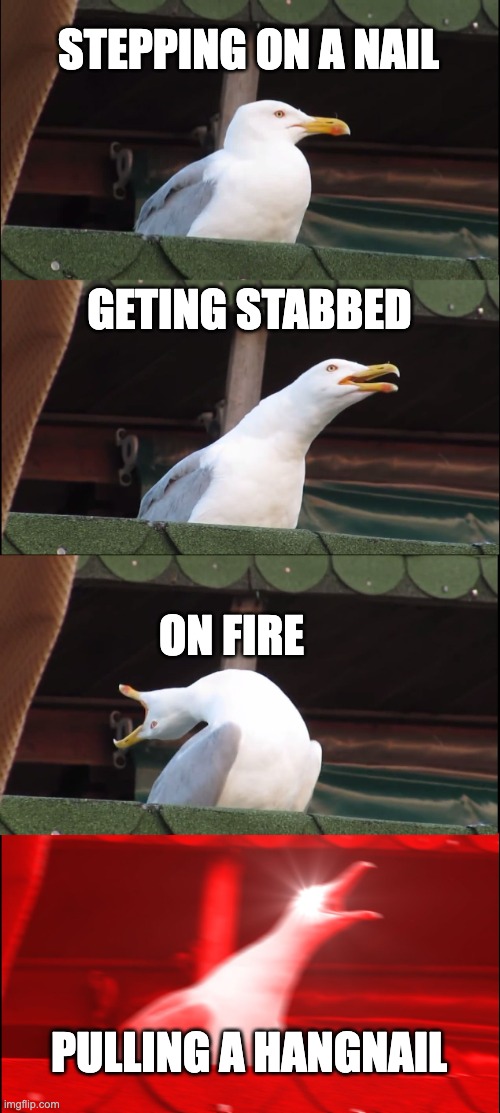 Inhaling Seagull | STEPPING ON A NAIL; GETING STABBED; ON FIRE; PULLING A HANGNAIL | image tagged in memes,inhaling seagull | made w/ Imgflip meme maker