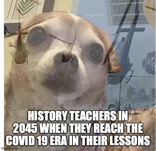 PTSD Chihuahua | HISTORY TEACHERS IN 2045 WHEN THEY REACH THE COVID 19 ERA IN THEIR LESSONS | image tagged in ptsd chihuahua | made w/ Imgflip meme maker