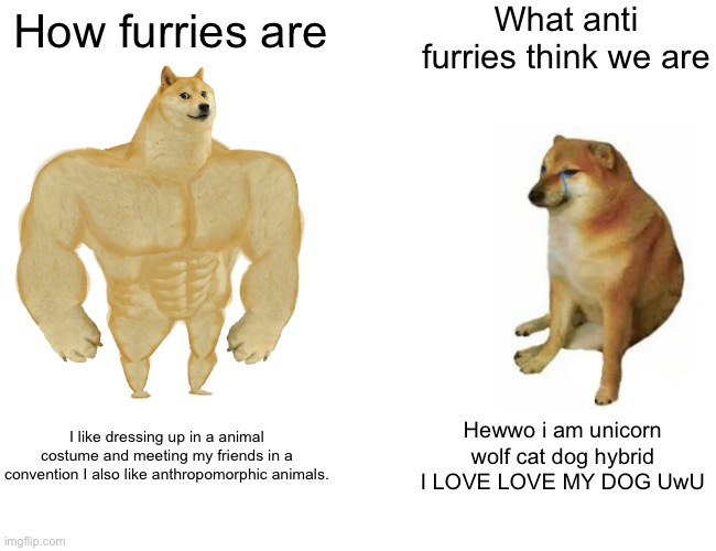 lol | What anti furries think we are; How furries are; I like dressing up in a animal costume and meeting my friends in a convention I also like anthropomorphic animals. Hewwo i am unicorn wolf cat dog hybrid I LOVE LOVE MY DOG UwU | image tagged in memes,buff doge vs cheems | made w/ Imgflip meme maker