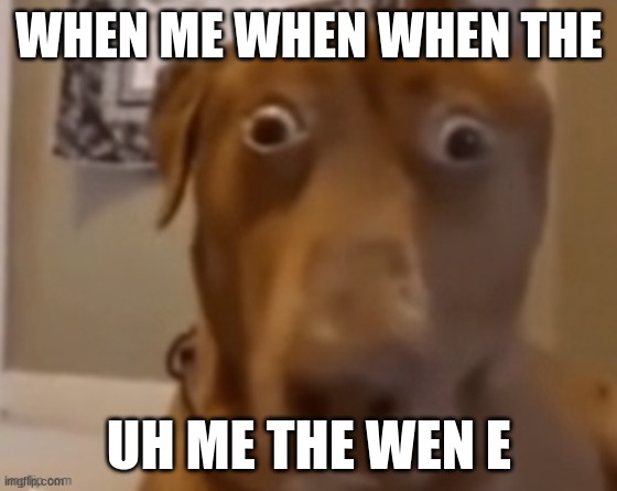 Scare Doggo | WHEN ME WHEN WHEN THE; UH ME THE WEN E | image tagged in scare doggo | made w/ Imgflip meme maker
