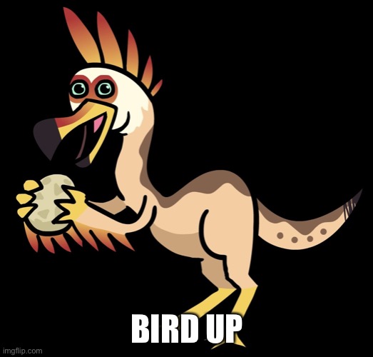 BIRD UP | image tagged in bird up | made w/ Imgflip meme maker