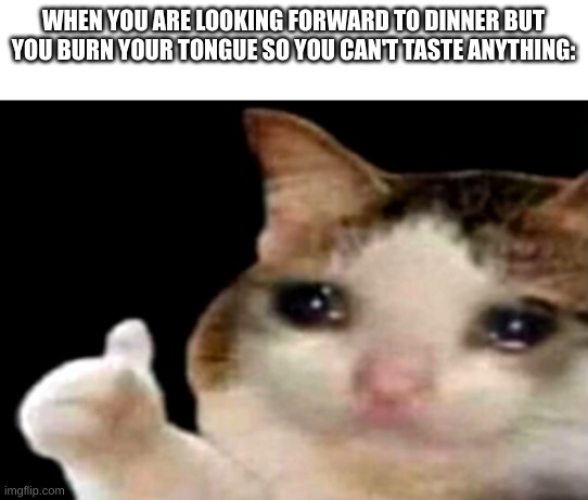 i  H_A_T_E  it when this happens | WHEN YOU ARE LOOKING FORWARD TO DINNER BUT YOU BURN YOUR TONGUE SO YOU CAN'T TASTE ANYTHING: | image tagged in sad cat thumbs up | made w/ Imgflip meme maker