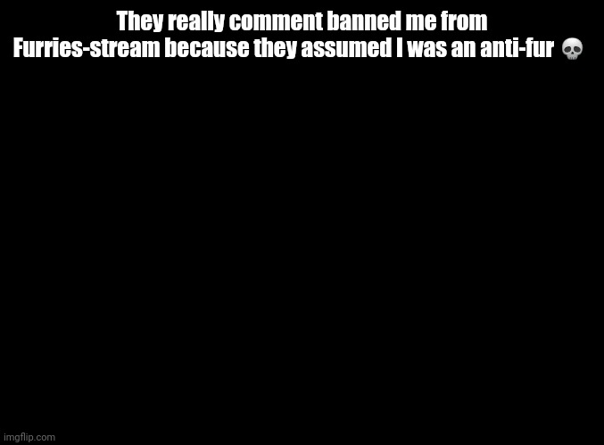 blank black | They really comment banned me from Furries-stream because they assumed I was an anti-fur 💀 | image tagged in blank black | made w/ Imgflip meme maker