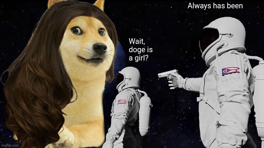The more you know... | Always has been; Wait, doge is a girl? | image tagged in memes,always has been | made w/ Imgflip meme maker