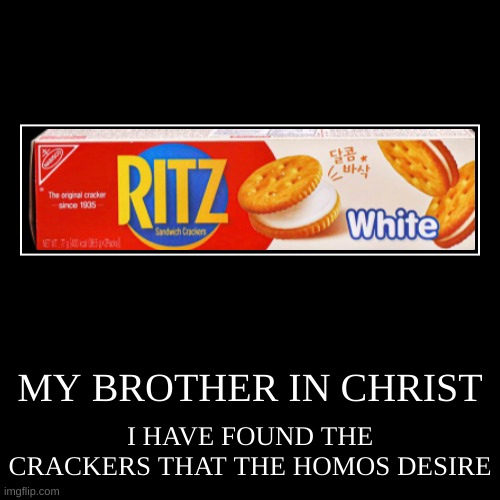 MY BROTHER IN CHRIST | I HAVE FOUND THE CRACKERS THAT THE HOMOS DESIRE | image tagged in funny,demotivationals | made w/ Imgflip demotivational maker
