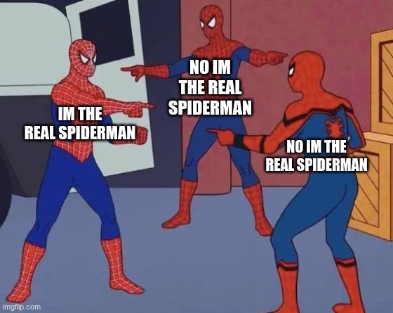 3 Spiderman Pointing | NO IM THE REAL SPIDERMAN; IM THE REAL SPIDERMAN; NO IM THE REAL SPIDERMAN | image tagged in 3 spiderman pointing | made w/ Imgflip meme maker