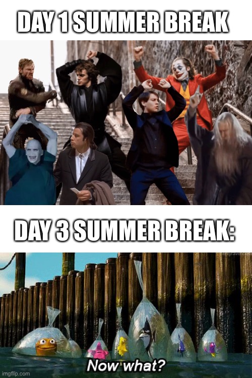 Today is summer break | DAY 1 SUMMER BREAK; DAY 3 SUMMER BREAK: | image tagged in blank white template,summer vacation | made w/ Imgflip meme maker