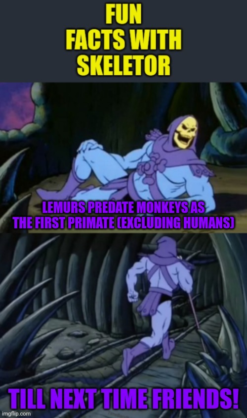 Fun facts with skeletor #11: lemurs, the first primates | LEMURS PREDATE MONKEYS AS THE FIRST PRIMATE (EXCLUDING HUMANS) | image tagged in fun facts with skeletor v 2 0,lemur,skeletor,monkeys,human,fun fact | made w/ Imgflip meme maker