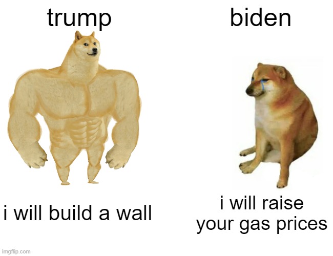 Buff Doge vs. Cheems | trump; biden; i will build a wall; i will raise your gas prices | image tagged in memes,buff doge vs cheems | made w/ Imgflip meme maker