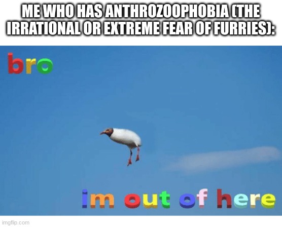 Bro I'm out of here | ME WHO HAS ANTHROZOOPHOBIA (THE IRRATIONAL OR EXTREME FEAR OF FURRIES): | image tagged in bro i'm out of here | made w/ Imgflip meme maker