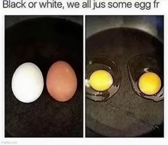 Image Title (Mod note:we all jus some eggs fr) (Another mod: fr that's y we cracked) | made w/ Imgflip meme maker