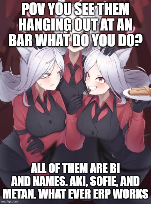 POV YOU SEE THEM HANGING OUT AT AN BAR WHAT DO YOU DO? ALL OF THEM ARE BI AND NAMES. AKI, SOFIE, AND METAN. WHAT EVER ERP WORKS | made w/ Imgflip meme maker