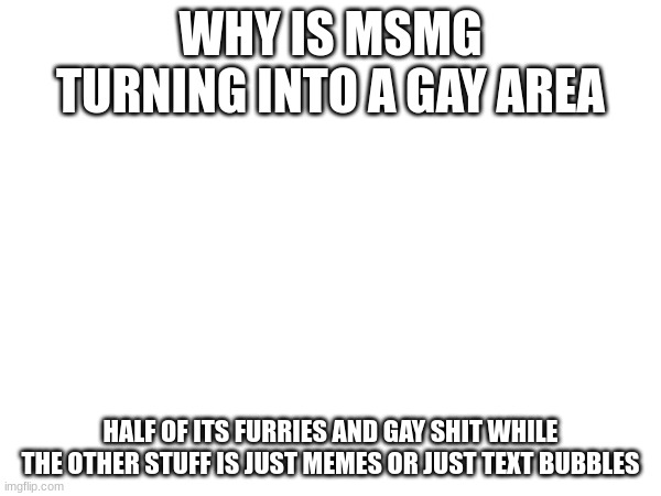 idk what is happening anymore | WHY IS MSMG TURNING INTO A GAY AREA; HALF OF ITS FURRIES AND GAY SHIT WHILE THE OTHER STUFF IS JUST MEMES OR JUST TEXT BUBBLES | made w/ Imgflip meme maker