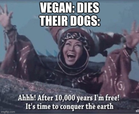 After 10000 years I'm free | VEGAN: DIES
THEIR DOGS: | image tagged in after 10000 years i'm free | made w/ Imgflip meme maker